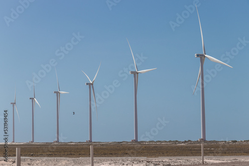Obraz na płótnie paisagem natural em atins maranhão w salonie