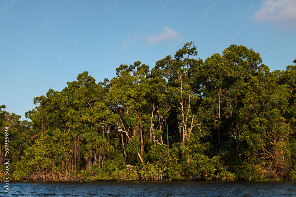 Paisagem lençois maranhenses
