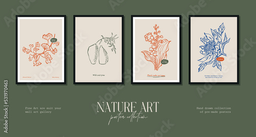 Bohemian poster collection with wildflowers and botanical illustrations for your wall art gallery 