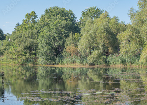 Fairy Lake reflections