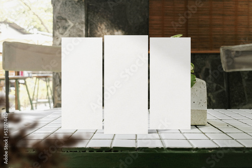Clean minimal brochure flyer standing on top table with plant and mini vase