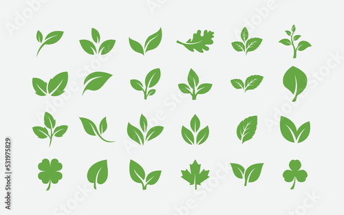 Green leaf ecology nature element vector icon set, Leaf Icon pack, green leaf ecology nature element vector