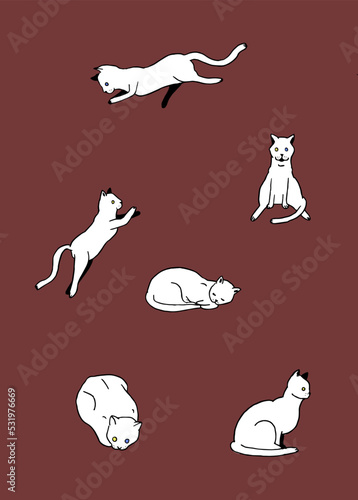 White Cats