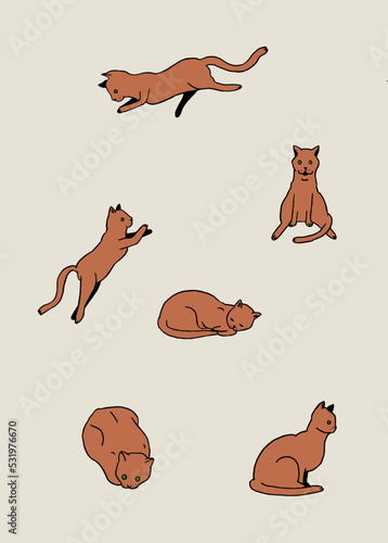 Red Cats