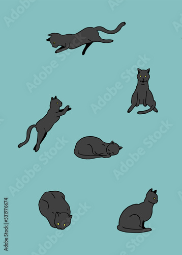 Black Cats 