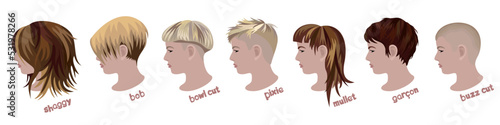 Woman's various hairstyles. Shaggy, bob, bowl cut, pixie, mullet, garcon, buzz cut. Vector collection isolated on white background. photo