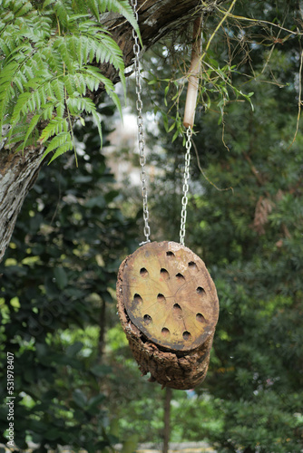  a bee hotel, Insect hotel on the tree 