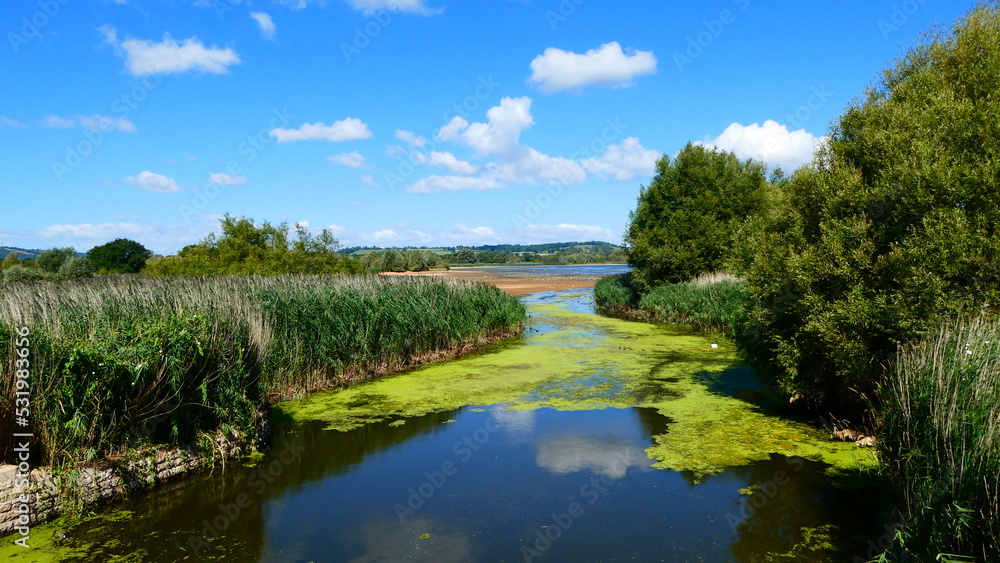 Beautiful landscape with blue sky, white clouds and green plants on the reflection river. Beautiful landscape with blue sky, white clouds and green plants on the reflection river.