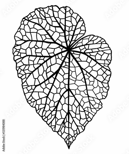heart from begonia leaves