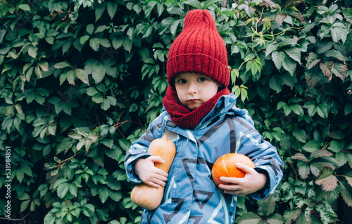 Child holding a ripe pumpkin, preparing for the holidays © Anastasia