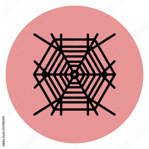 spider web icon