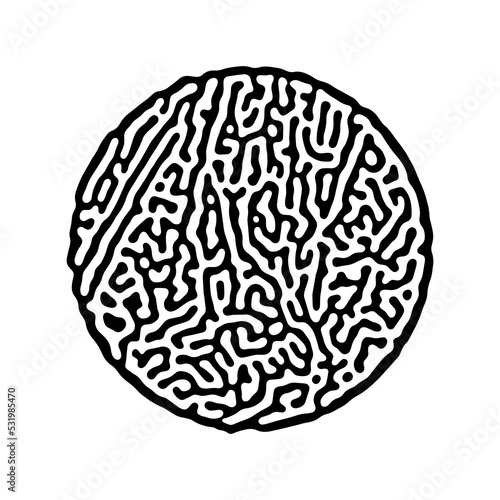Abstract circle maze. Isolated on white background. Abstract clipart.