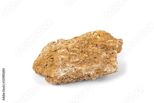 Shell rock is a kind of limestone - a porous sedimentary organogenic rock photo