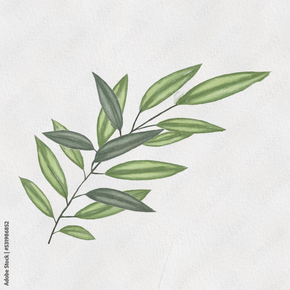 Leaf drawing green Leaf drawing green