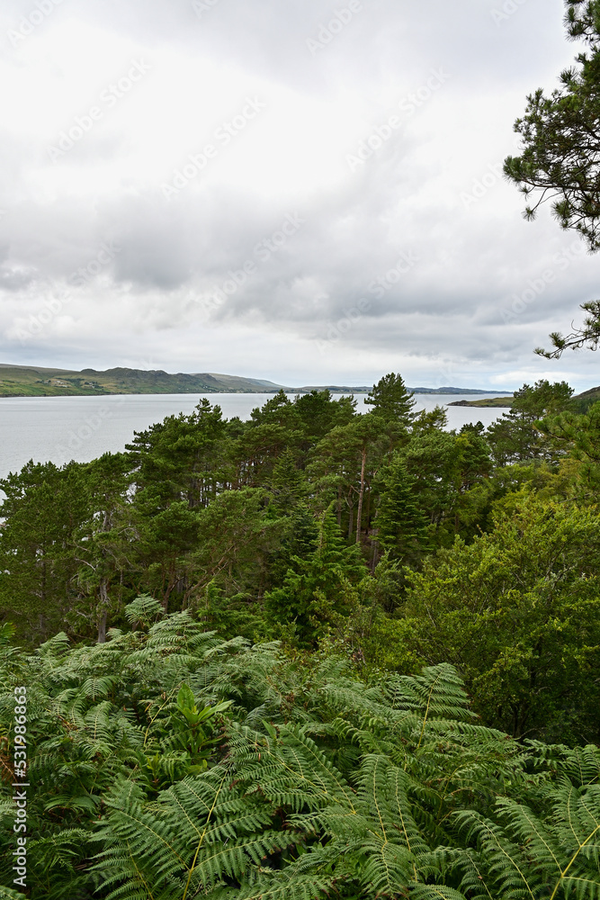 Loch Ewe mit Bäumen an der Küstenlinie, Blick vom Inverewe Garden, bei Poolewe, Achnasheen, Highland, Schottland	
