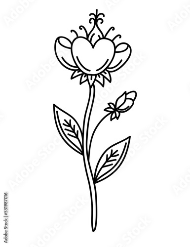 Flower line art illustration, PNG with transparent background.