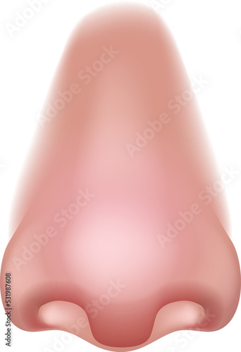 Nose five senses human body part sensory organ icon representing smell