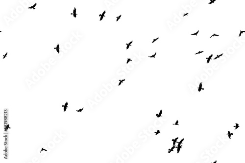 Fotobehang Flock of sinister black birds isolated on white.