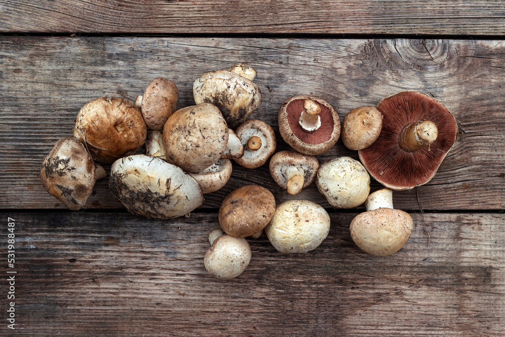 collection of mushrooms, champignons bunch on a wooden background