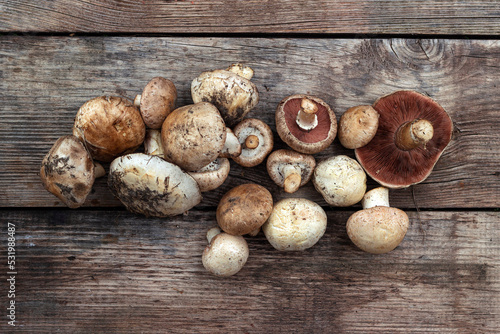 collection of mushrooms, champignons bunch on a wooden background