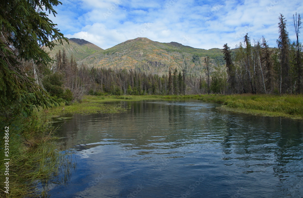 View of Kenai River from Kenai River Trail in Skilak Wildlife Recreation Area in Alaska,United States,North America
