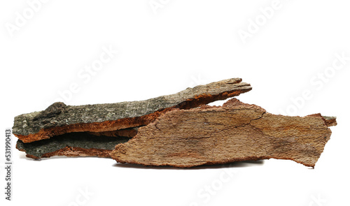 Bark of beech tree, pile isolated 