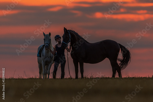 a young woman a white and black horses at sunset standing together on the horizon