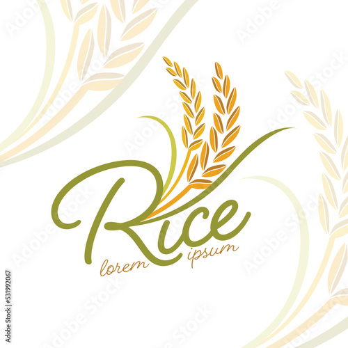 paddy rice premium organic natural product banner logo vector design
