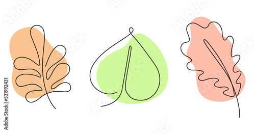 Autumn leaves set in one line art style with colorful abstract shapes. Rowan, oak and linden tree. Vector minimalist illustration of fallen leaves isolated on white background. photo