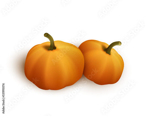 Two autumn orange pumpkins for halloween or thanksgiving celebration isolated on white background. Vector illustration