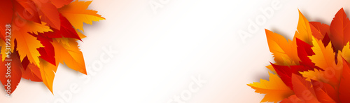 3d autumn foliage on white background. Banner with fall leaves and place for text. Vector illustration