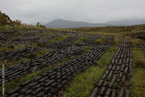 Irish Peat Bog Landscape