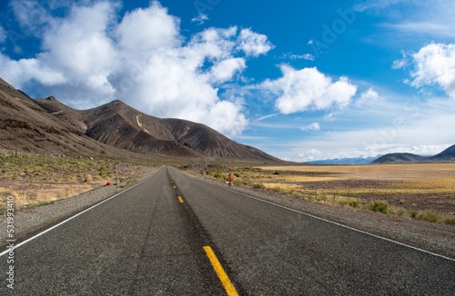 Lonely highway going off into the horizon in the rural high desert of Nevada, USA.