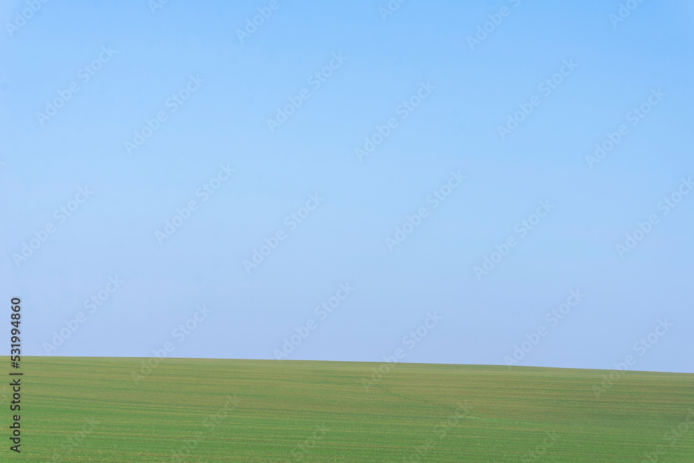 Green field with blue sky as background. Green field with blue sky as background.