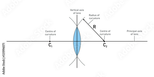 Properties of convex lenses. Parts of convex lens in principal axis vector illustration on white background.
