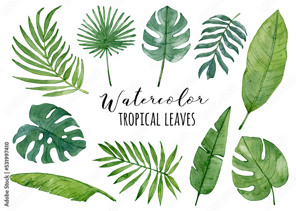 Watercolor collection of green tropical leaves isolated on white ...