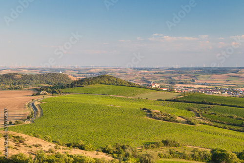 View from Table mountain to Mikulov town in Moravia region. Palava. Czech Republic.