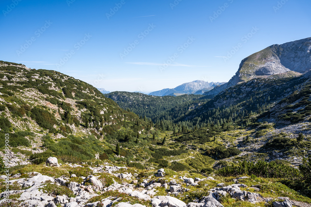 Panorama picture of the Stony Sea in the Alps VIII