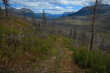 Hideout Trail in Skilak Wildlife Recreation Area in Alaska,United States,North America
