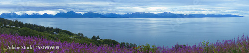 Landscape at Homer in Alaska,United States,North America 