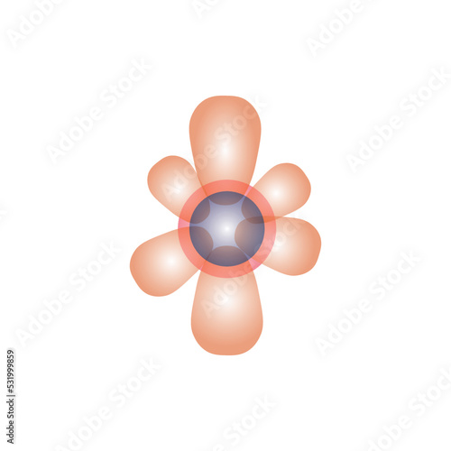 the electron cloud of the atom in physics.