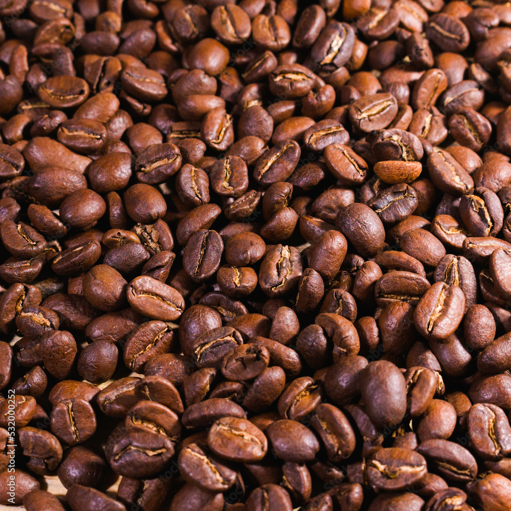 Fototapeta premium Guatemalan roasted coffee beans, delicious coffee beans