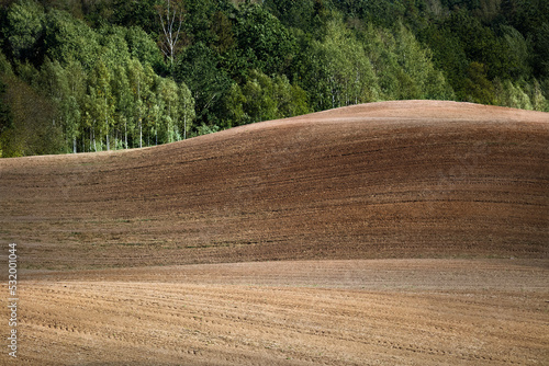 Fototapeta Naklejka Na Ścianę i Meble -  Pola i Las - Mazury