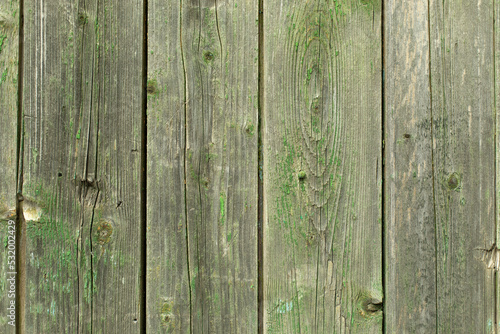 Large old fence made of boards. Green paint on boards. Old texture of fence.