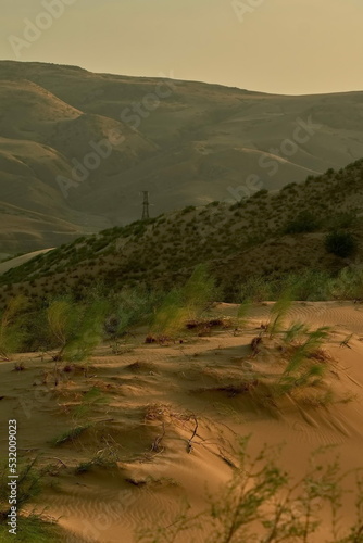 View of the valley near the Sarykum dune in summer in Dagestan