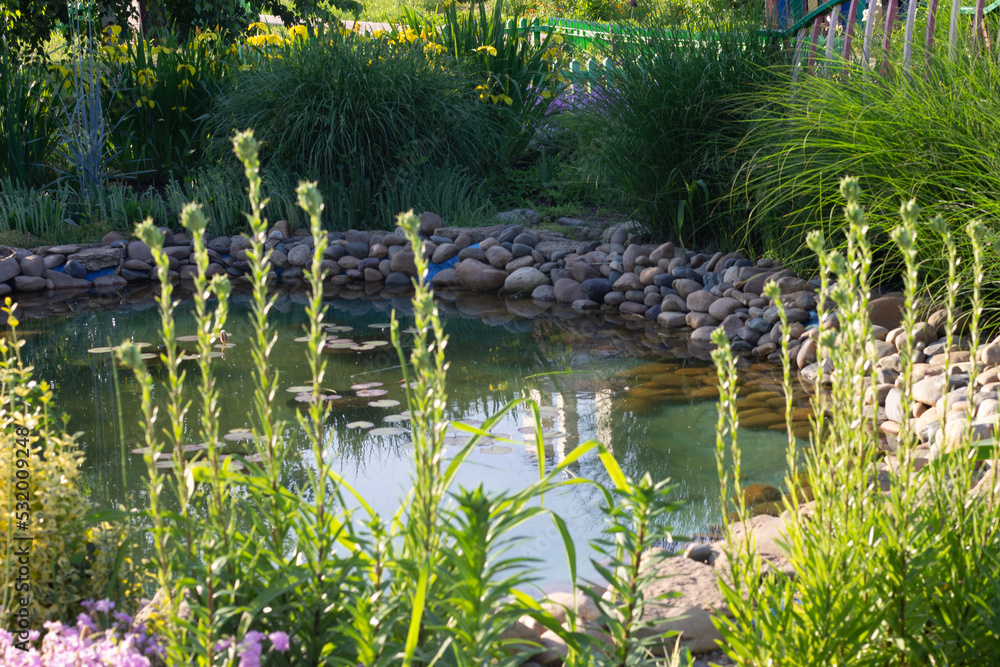 pond with flowers
