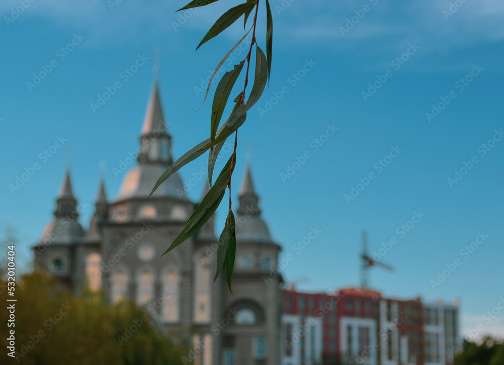 leaves on the background of a beautiful castle in the park