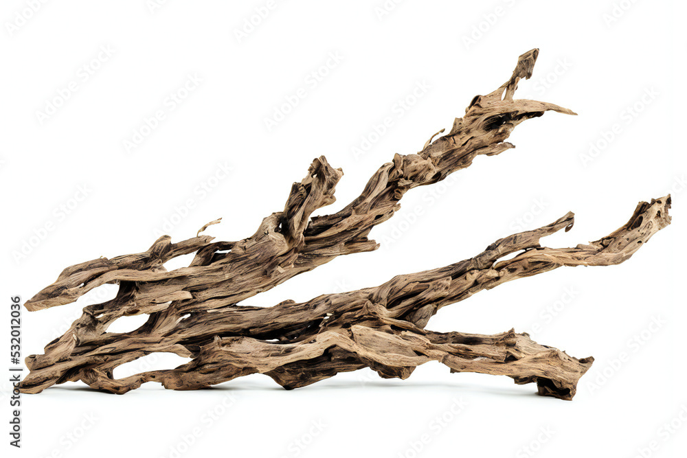 driftwood, old and dry branch isolated on white background driftwood, old and dry branch isolated on white background