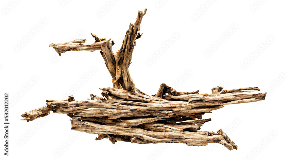 driftwood, old and dry branch isolated on white background