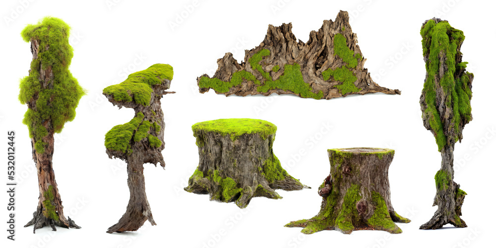 overgrown tree stumps, collection of old stubs with moss and lichen, isolated on white background - obrazy, fototapety, plakaty 